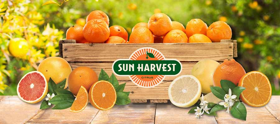 Sun Harvest Citrus