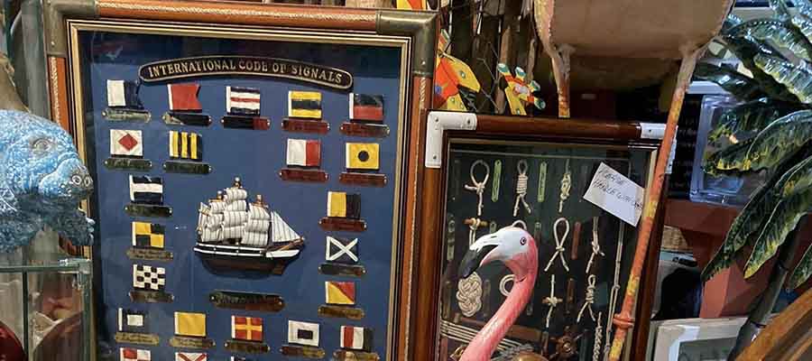 Tuttle's Seahorse Shell Shop