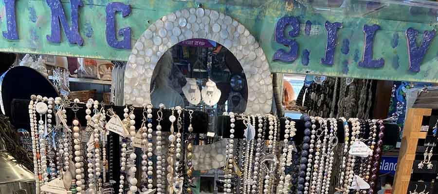 Tuttle's Seahorse Shell Shop