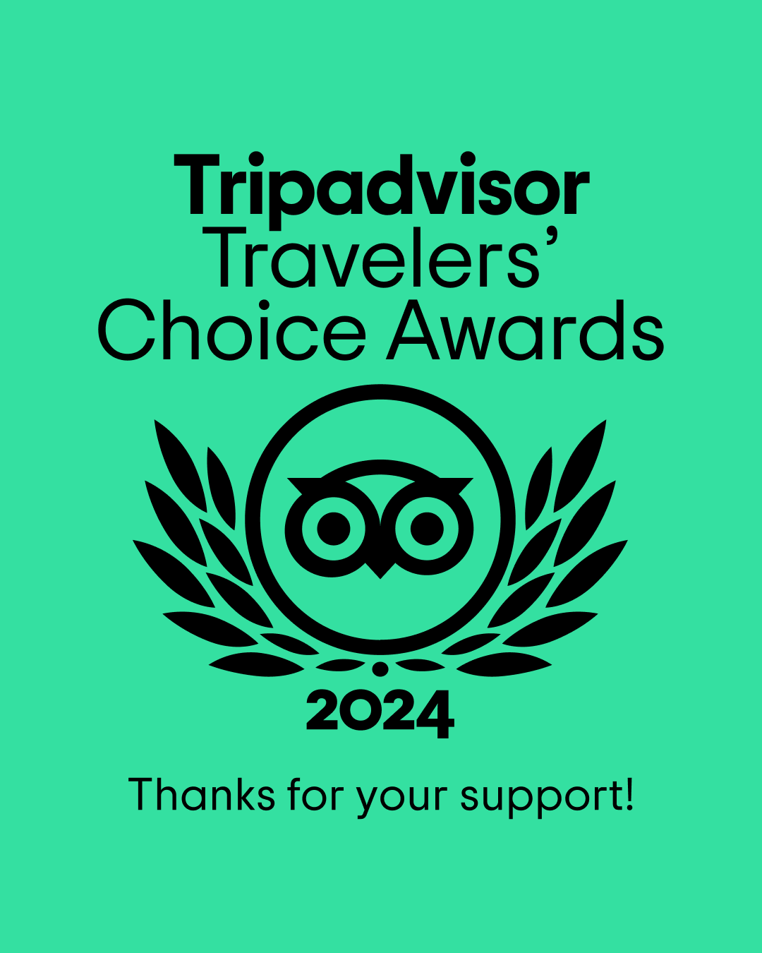 Tripadvisor Travelers' Choice Award 2024